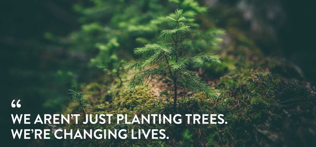 Kindsgut trees.org Partnerschaft Zitat